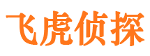 平阳市场调查